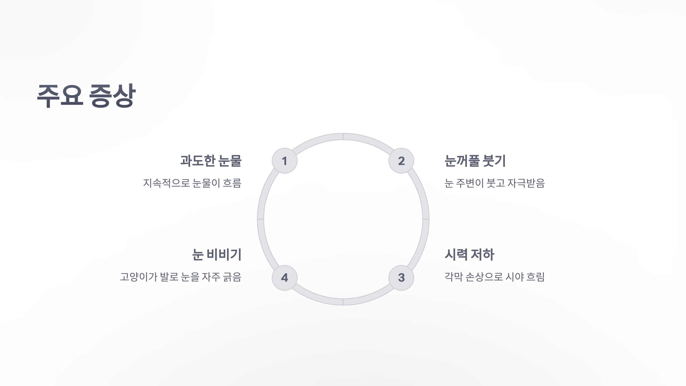 참조-고양이,-안검내반증-3