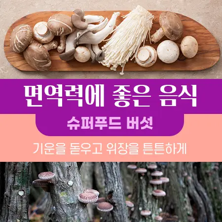 면역력에 좋은 음식