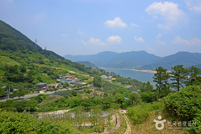 계명산 자연휴양림 주변 맛집 카페 마트 전통시장 오일장 정보 특산물 시세 강아지 동반 식당 카페 숙소 호텔 정보