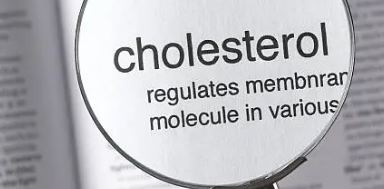 콜레스테롤 낮추는 방법