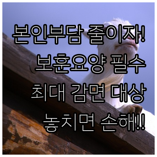 2025년 보훈요양 서비스 본인부담금..