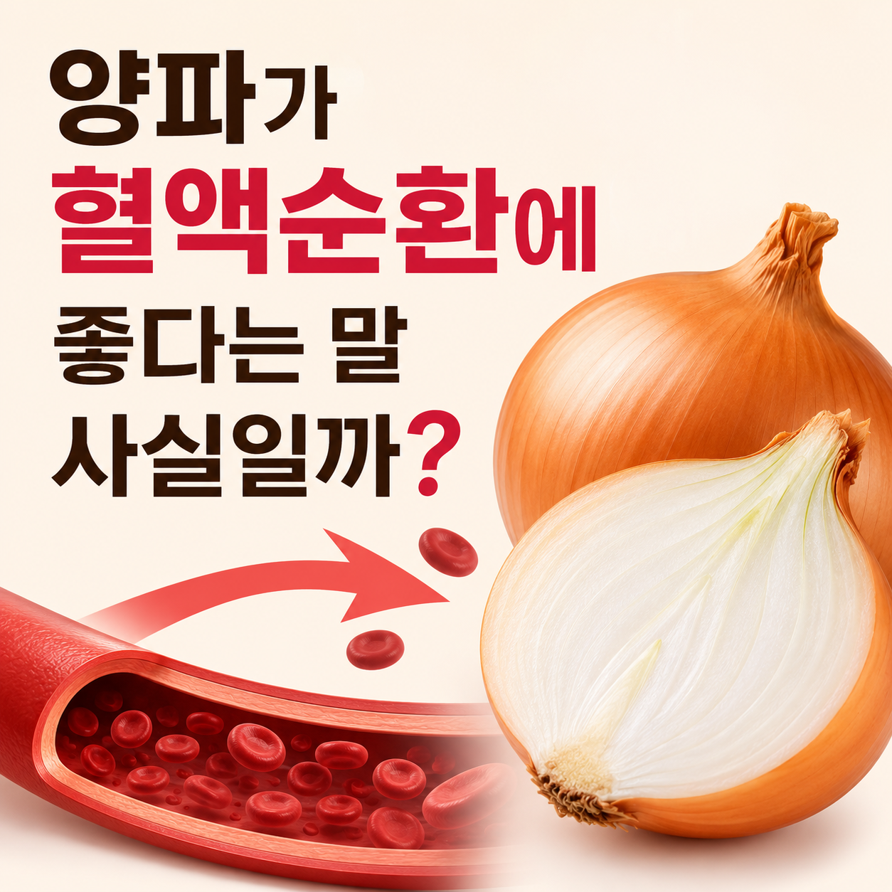 양파 효능