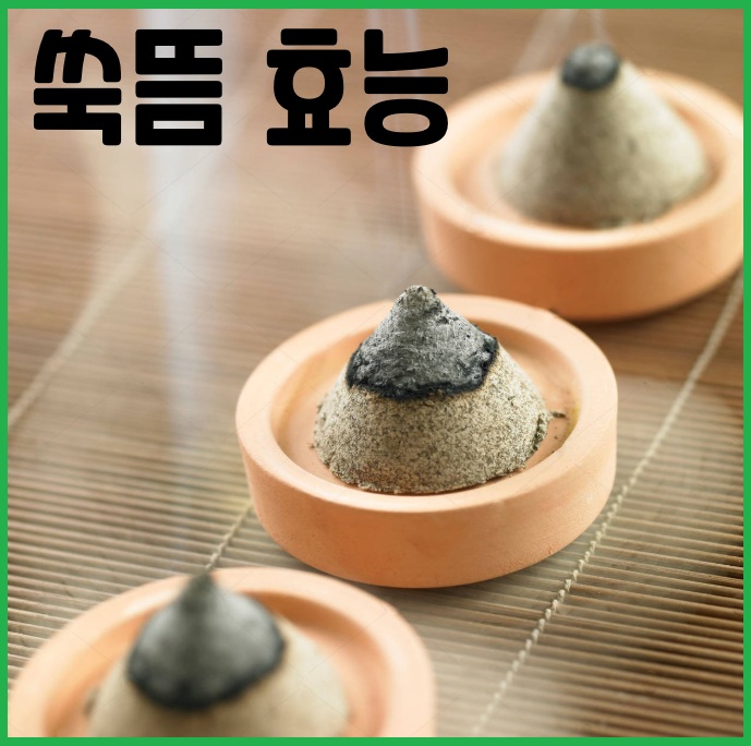 쑥뜸 효능
