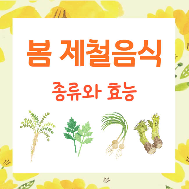 봄 제철음식 종류와 효능
