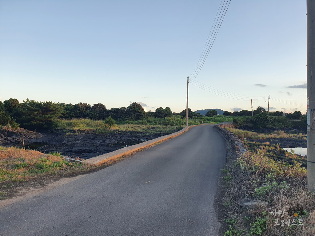 오조포구 가는길