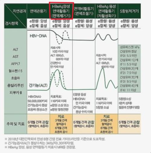 만성B형 간염의 치료 최적 타이밍은?