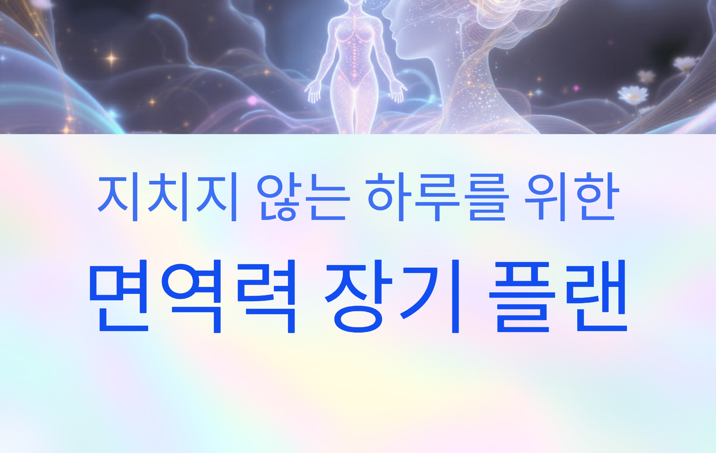 면역력 장기 플랜 완벽 가이드