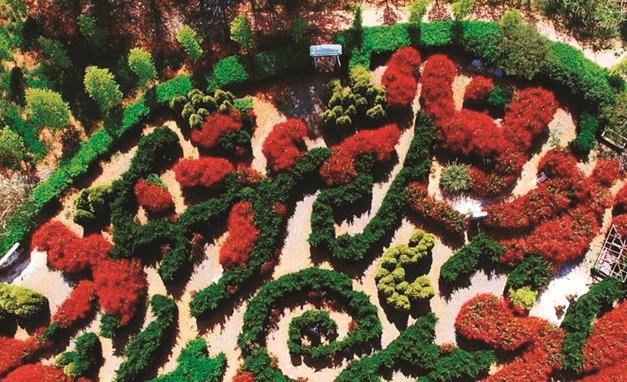 청산수목원 삼족오 미로공원