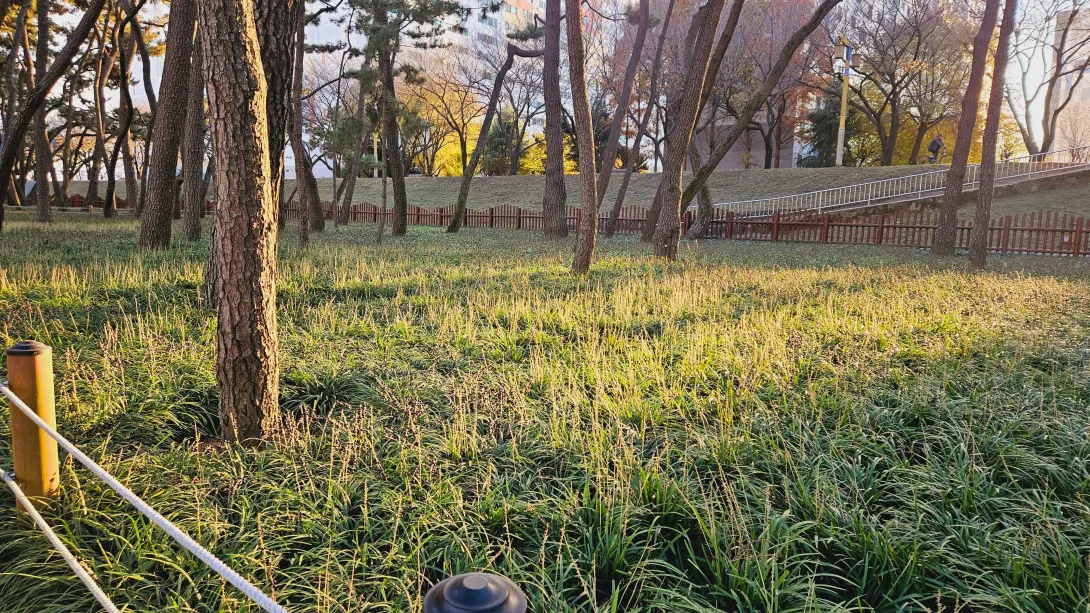 밀양 맥문동 맨발걷기