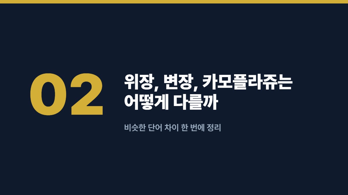 위장, 변장, 카모플라쥬는 어떻게 다를까 — 비슷한 단어 차이 한 번에 정리