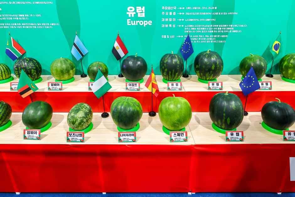 함안세계수박축제