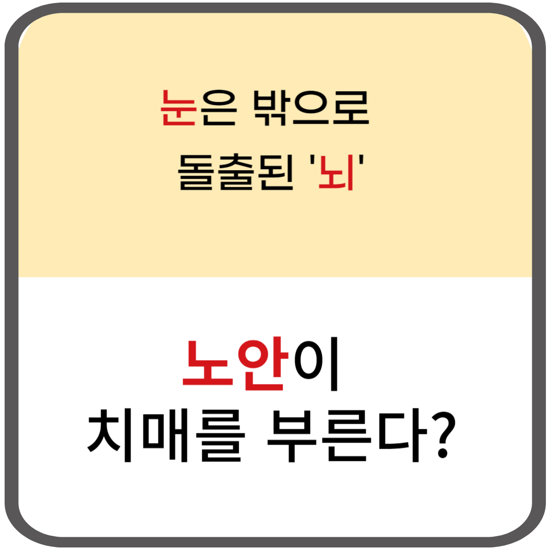 노안이 치매를 부른다