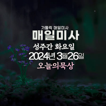 2024년 3월 26일 매일미사 성주간 화요일 오늘의묵상