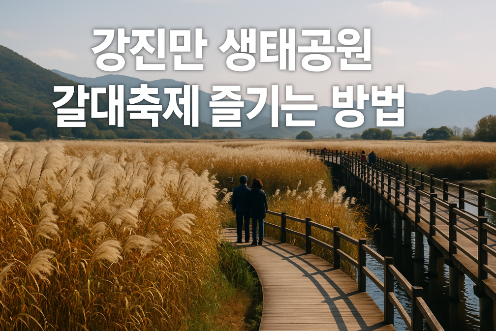 강진만 갈대축제, 이것만 알면 100배 즐기기