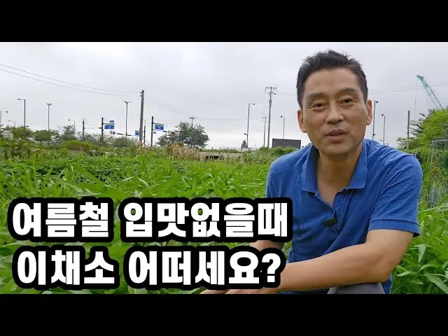 공심채 재배 여름 재배 물 충분 배수 필수_5