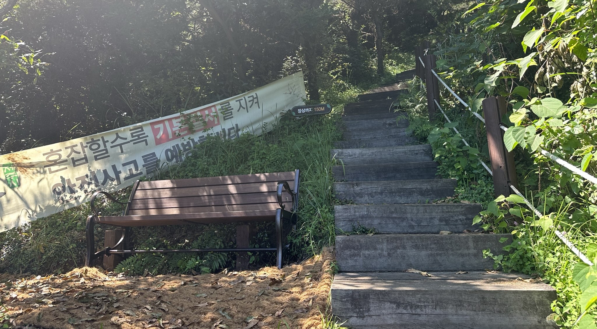 산책로