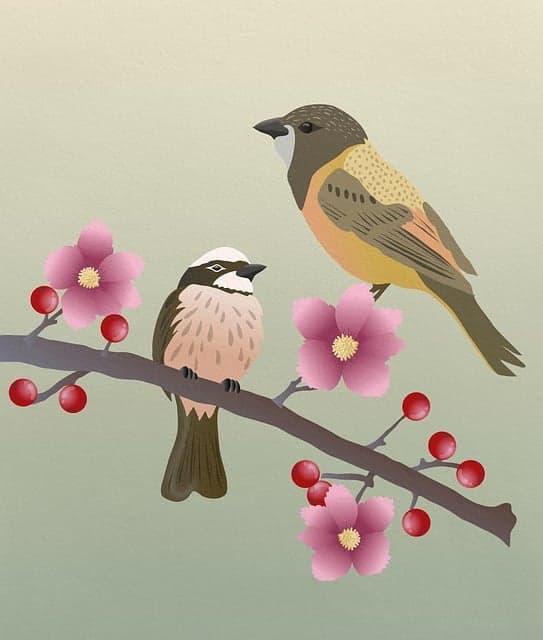 스포츠에서 유니폼 색상이 경기력에 미치는 심리적 영향