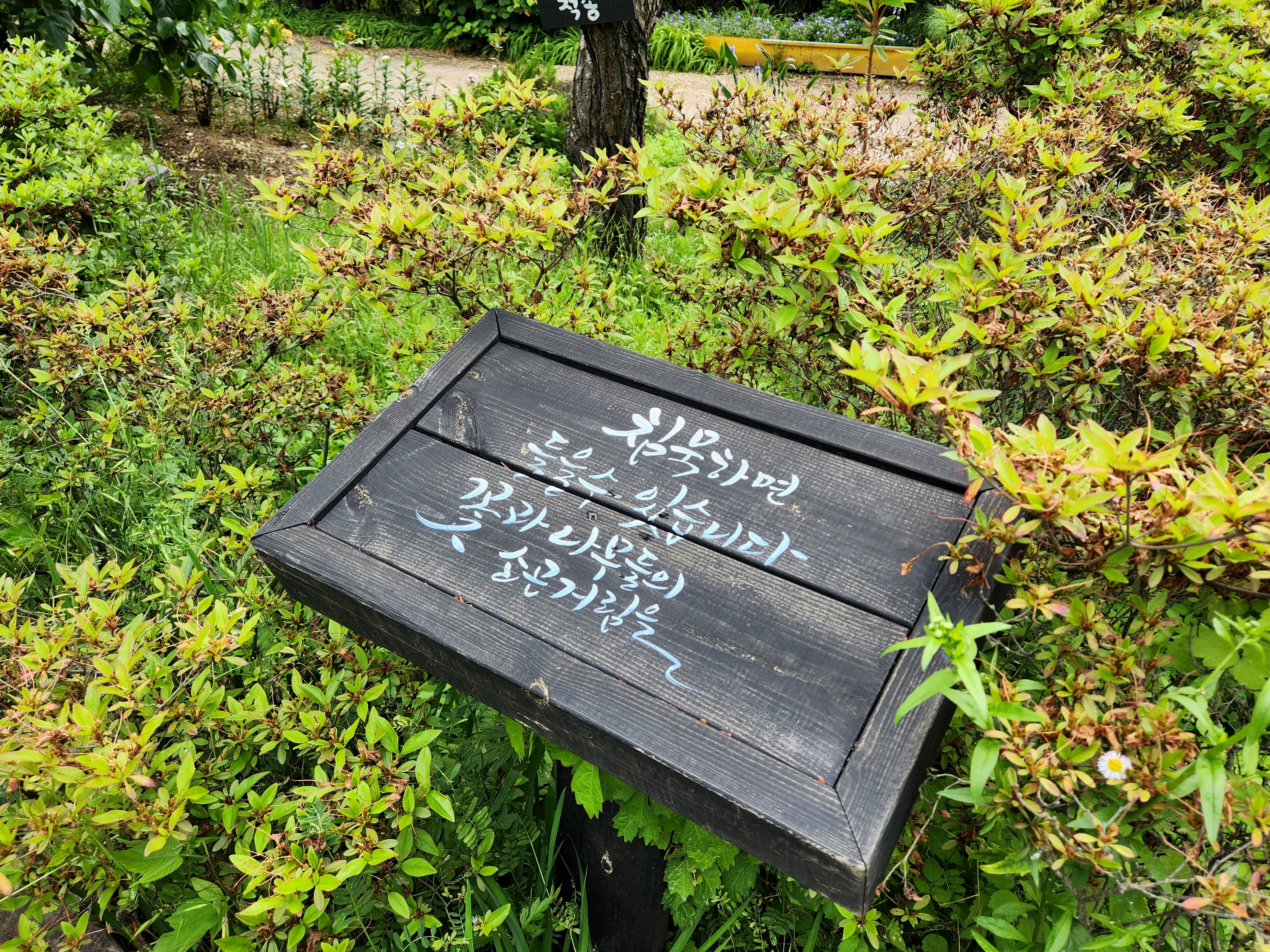 수목원 가볼만한곳 추천