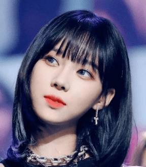 코성형수술-윈터코-성형외과초성