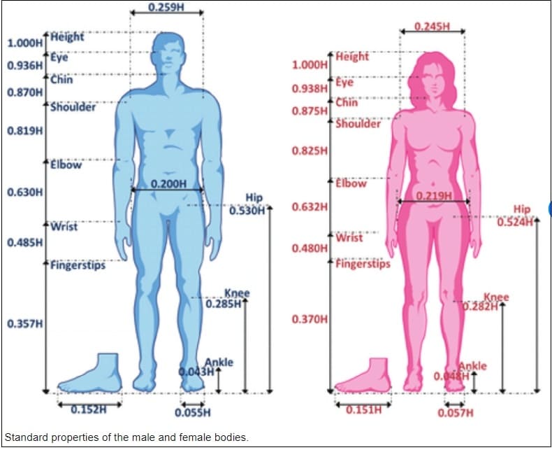 지피지기 '여자와 남자' VIDEO:The hardwired difference between male and female brains
