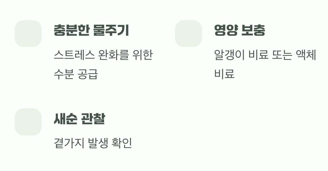 5. 가지치기 후, 꼭 챙겨줘야 할 것