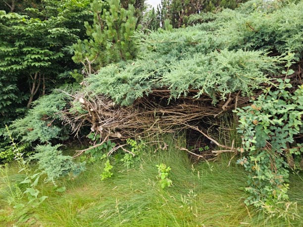 야광 또는 반사소재를 활용한 밤길 안전 쉼터