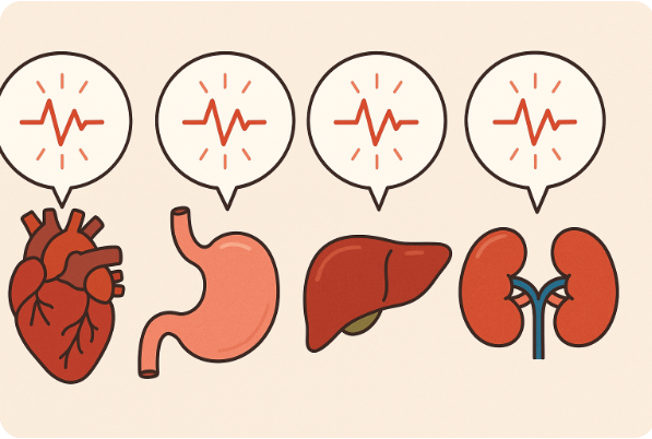 우리 몸 주요 장기의 미세 신호를 일러스트로 표현