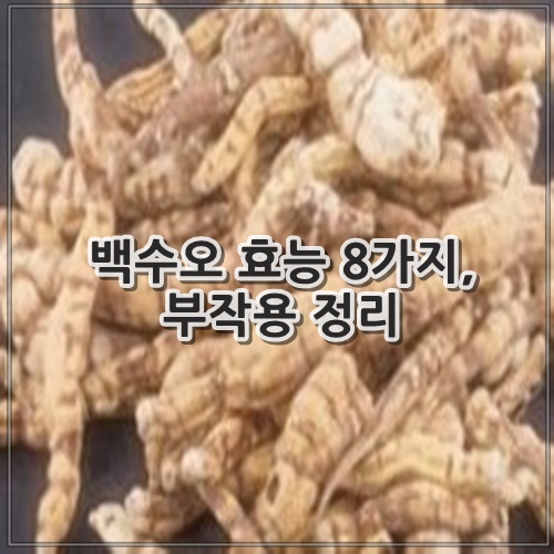 백수오 효능 8가지, 부작용 정리