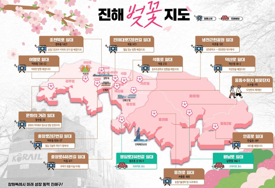 2025 진해군항제 기본정보- 행사일정, 벚꽃추천코스