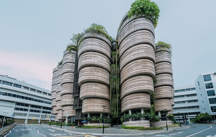 2025 대학별 장학금 최신 정리 관련 사진 자료