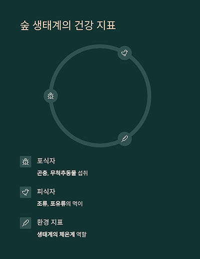 숲 생태계의 건강 지표종