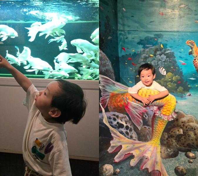 김포 수산공원 몬스터리움에서 물고기를 가리키는 아이와 인어 트릭아트 체험 중인 모습의 콜라쥬