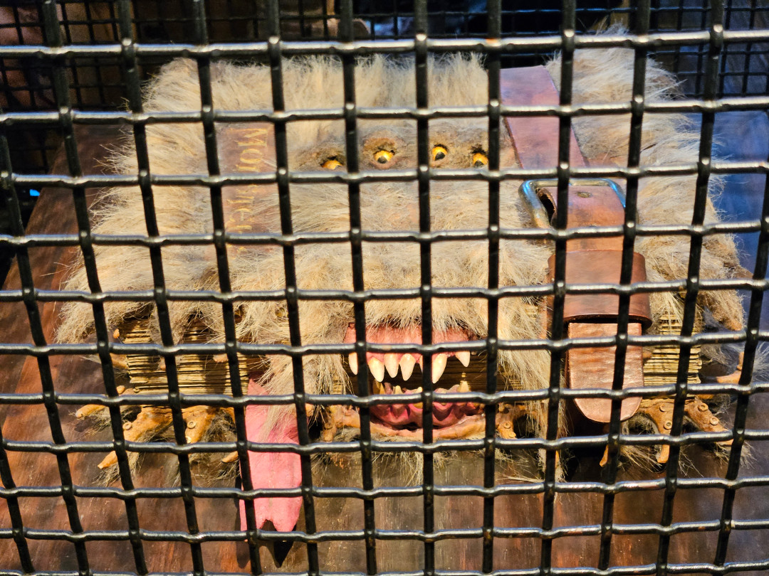 USJ 해리포터 움직이는 거미책