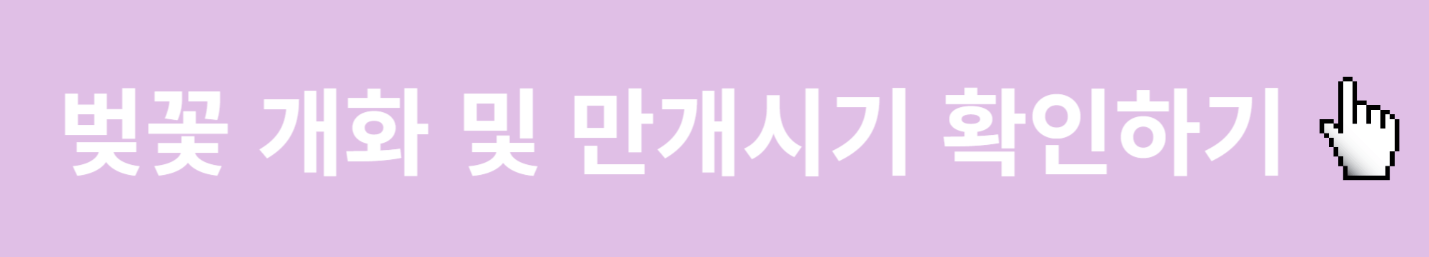 벚꽃-개화시기-만개시기-확인하기