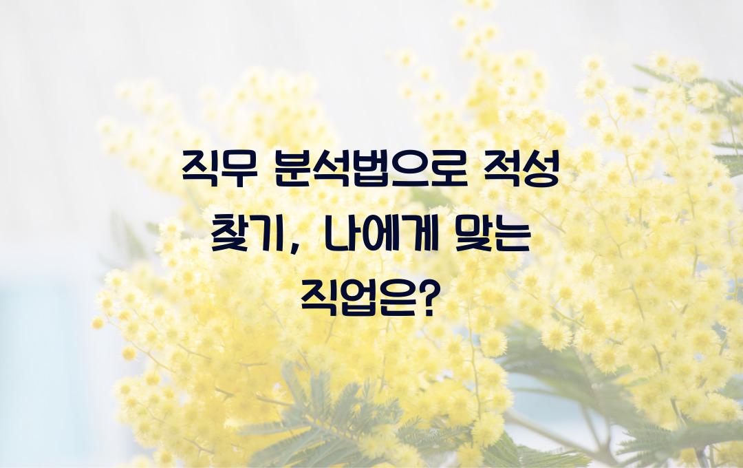 직무 분석법으로 적성 찾기