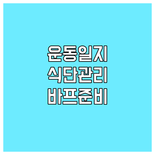 운동 일지 완벽 비교 식단 관리, 바