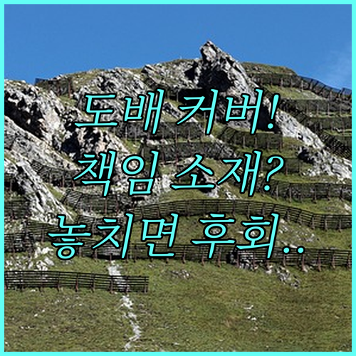 도배 시 가구 커버 범위와 책임 소재..