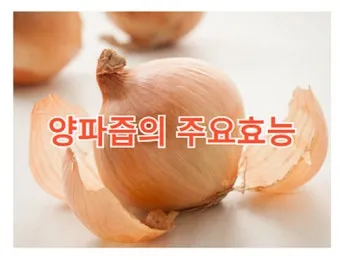 양파즙 만드는 방법과 효과적으로 복용하는 요령_21