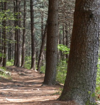 숲나들e 양평 설매재 자연휴양림 국내 여행지 추천 관련사진
