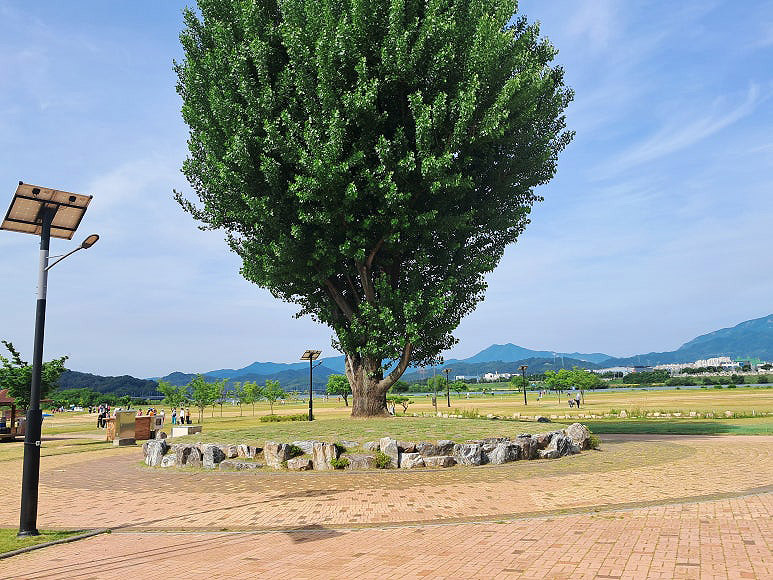 시원한 경치 경상북도 구미 동락파크골프장 소개