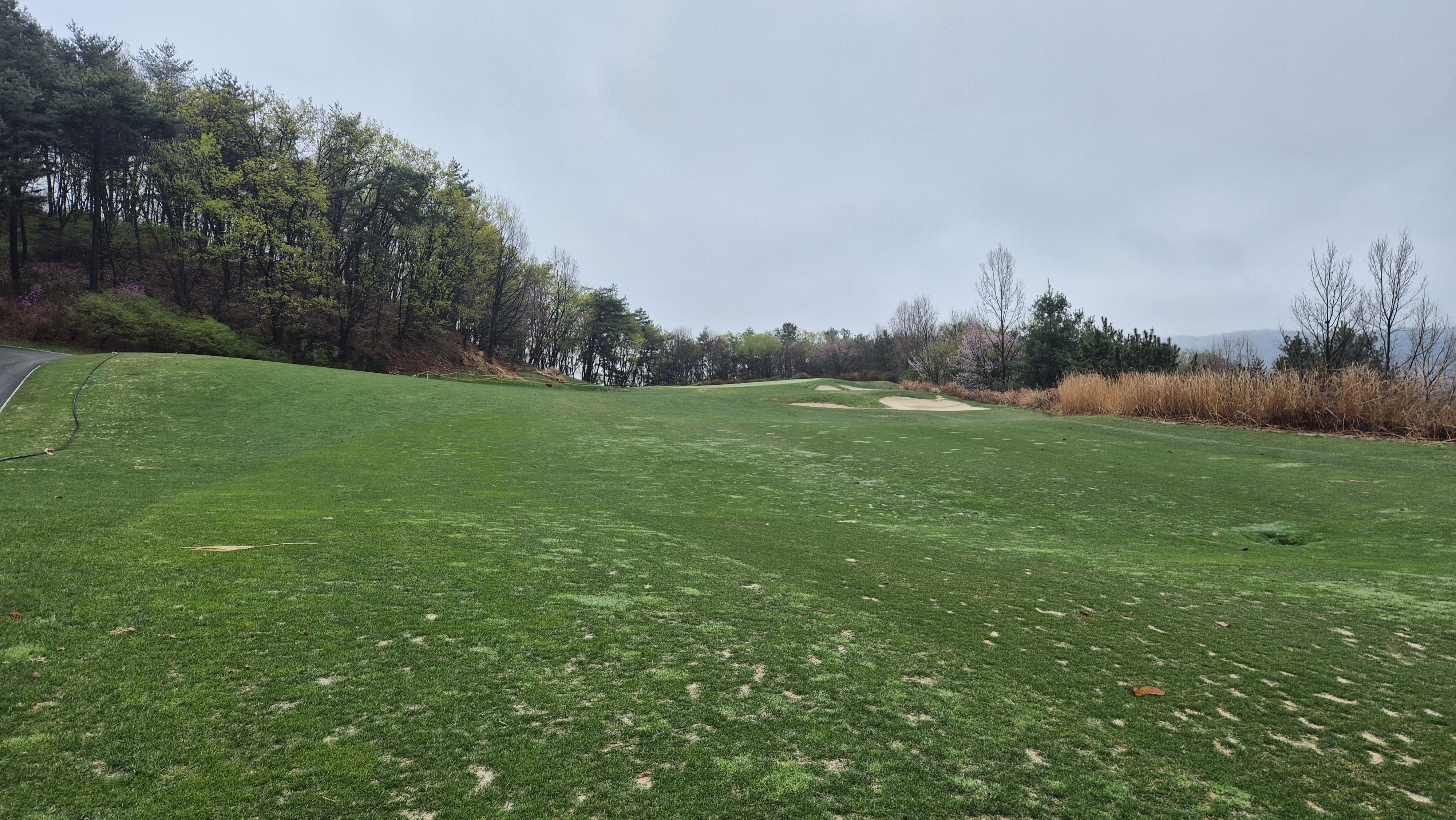 레인보우힐스cc 동-남 코스 사진 및 공략 정보