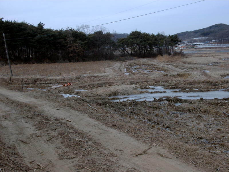 개별공시지가 조회