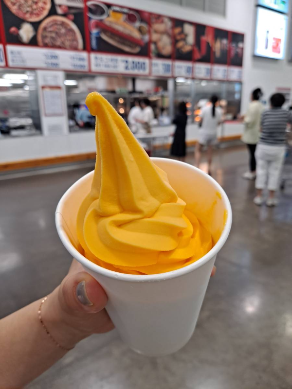 코스트코 소르베 비주얼