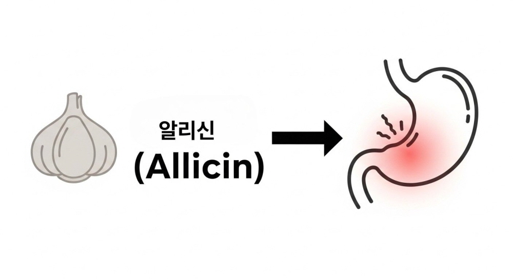 마늘 속쓰림