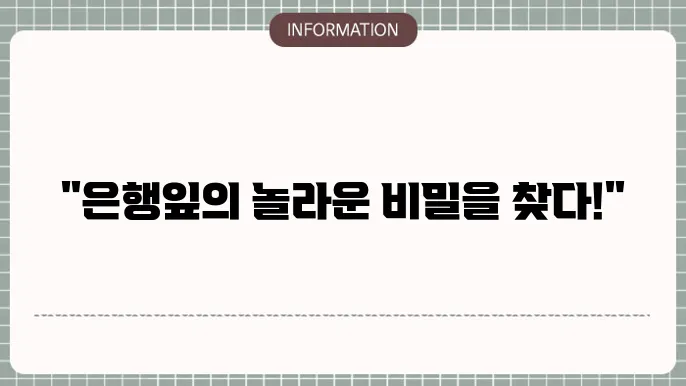 은행잎추출물 효능 은행잎차 아닌 진센큐 찾은 사연