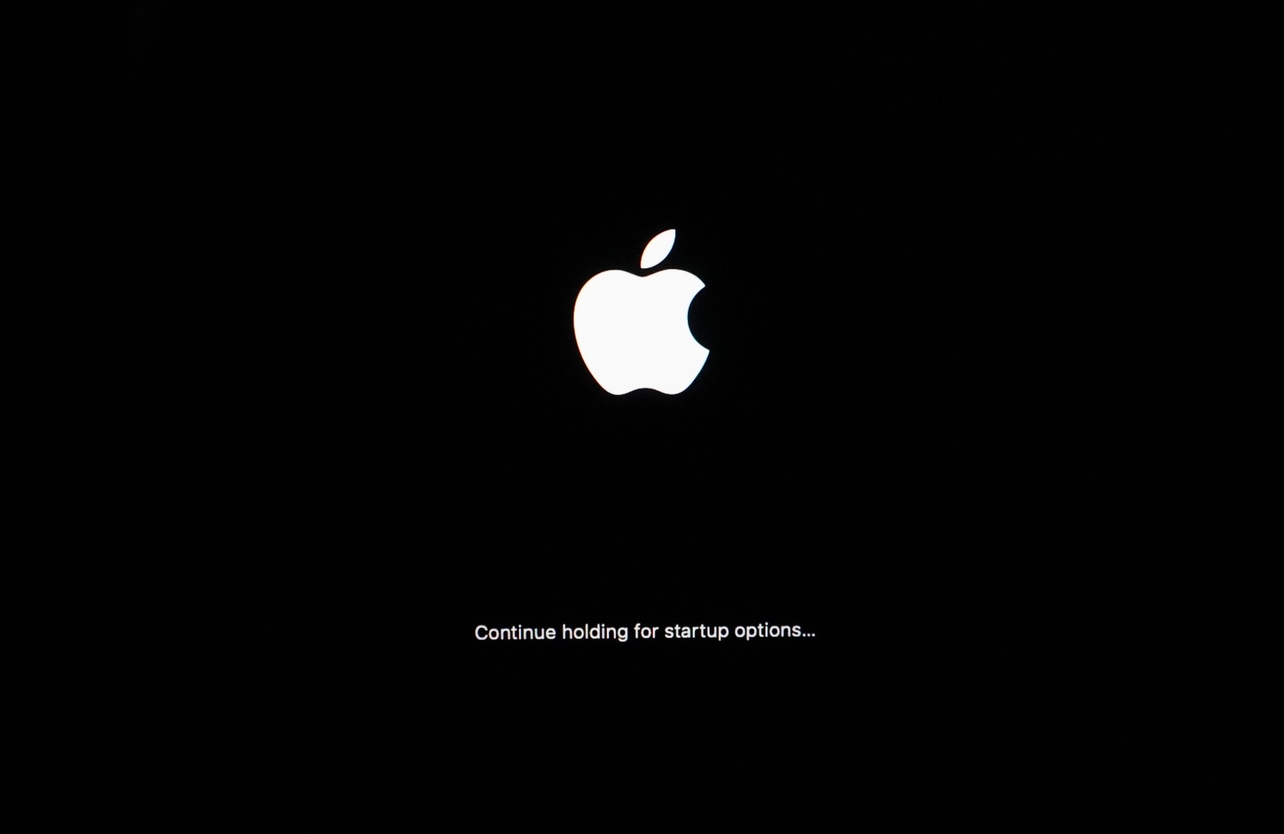Loading startup options