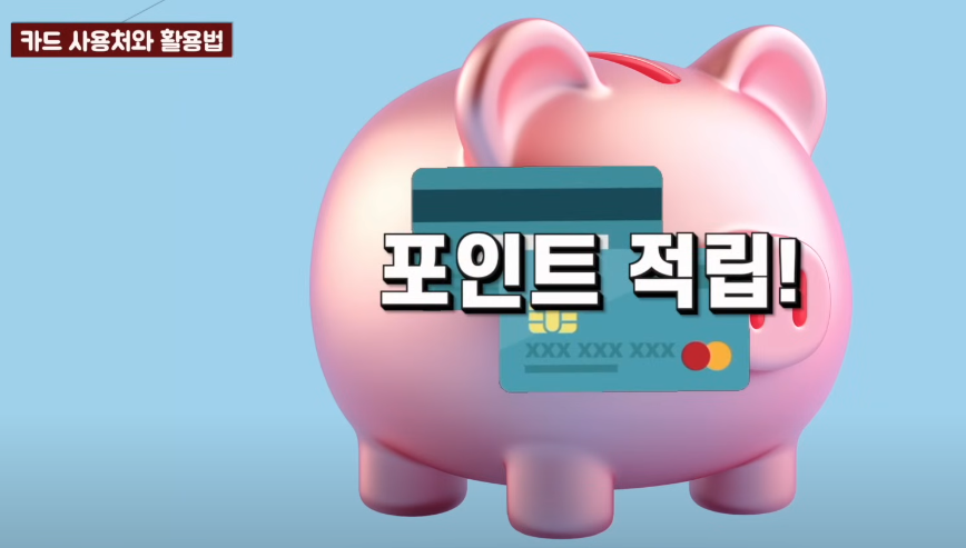 카드 사용처와 할용법