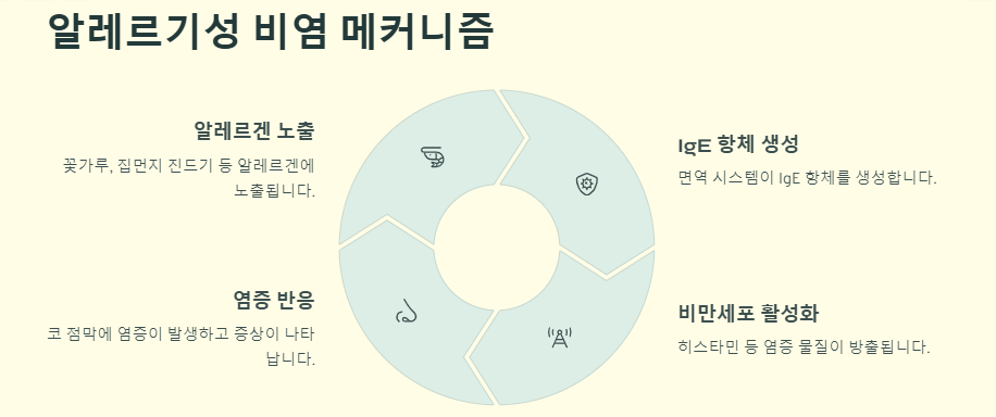 비염 극복하기: 증상 원인 치료방법(좋은음식)