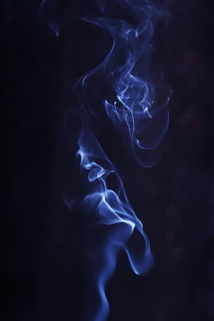 냄새 분석가 — 향기와 냄새를 과학적으로 연구해 감정과 기억을 해석하는 직업 탐구하기