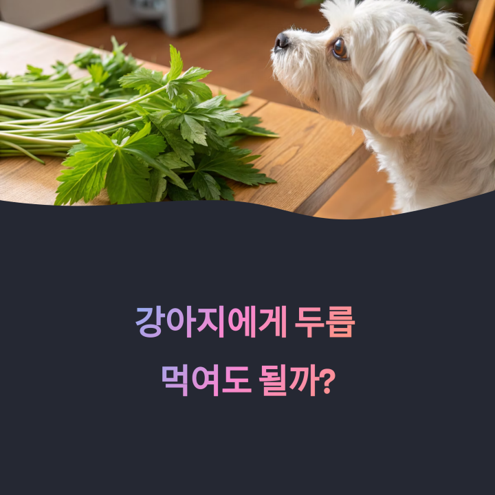 강아지에게 두릅 먹여도 될까? 봄철 산나물 급여 주의사항
